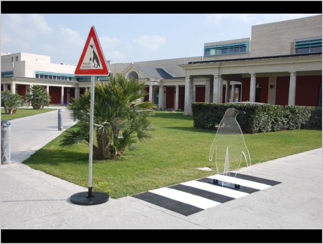 PINGUIN CROSSING